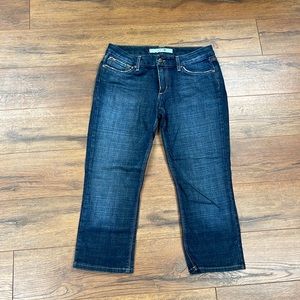 Joes jeans crop